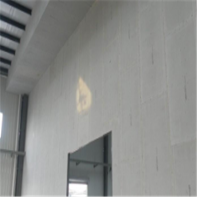 平昌新型建筑材料掺多种工业废渣的ALC|ACC|FPS模块板材轻质隔墙板